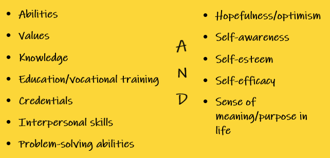 Human capital: Abilities, Values, Knowledge, Education/vocational training, Credentials, Interpersonal skills, Problem-solving abilities, Hopefulness/optimism, Self-awareness, Self-esteem, Self-efficacy, Sense of meaning/purpose in life