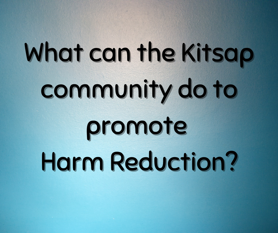 Slide Six:
What can the Kitsap community do to promote Harm Reduction?