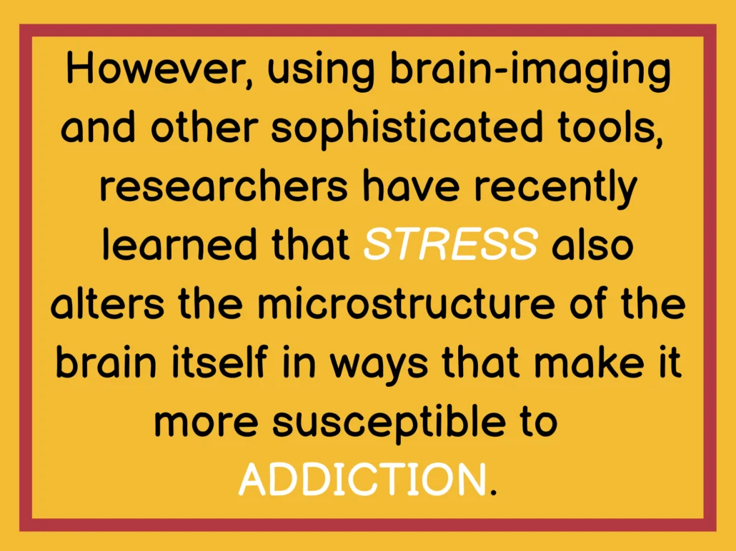 However, using brain-imaging and other sophisticated tools, researchers have recently learned that STRESS also alters the microstructure of the brain itself in ways that make it more susceptible to ADDICTION.