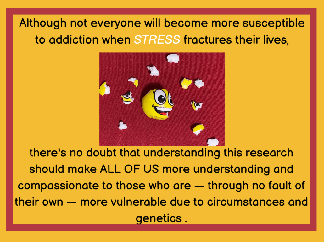 Although not everyone will become more susceptible to addiction when STRESS fractures their lives, There's no doubt that understanding this research should make ALL OF US more understanding and compassionate to those who are — through no fault of their own — more vulnerable due to circumstances and genetics.